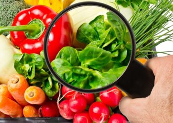 Seguridad alimentaria